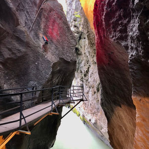 Die Aareschlucht und das Rätsel um den Tatzelwurm
