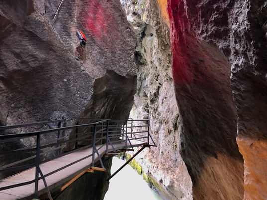 Die Aareschlucht und das Rätsel um den Tatzelwurm