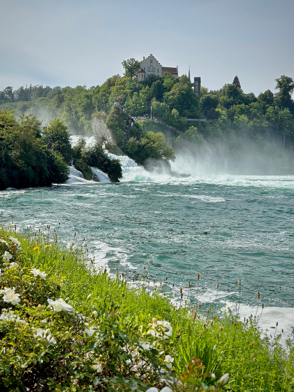 Die Aussicht vom ehemaligen Hüttengelände auf den Rheinfall.