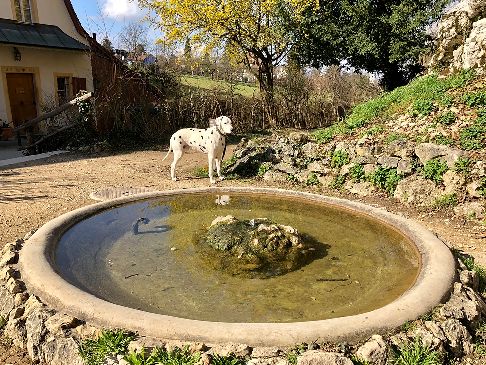 Links vom Brunnen seht ihr nochmals das Gärtnerhaus, rechts davon befindet sich das Felsentor...und Sisko mittendrin :-)