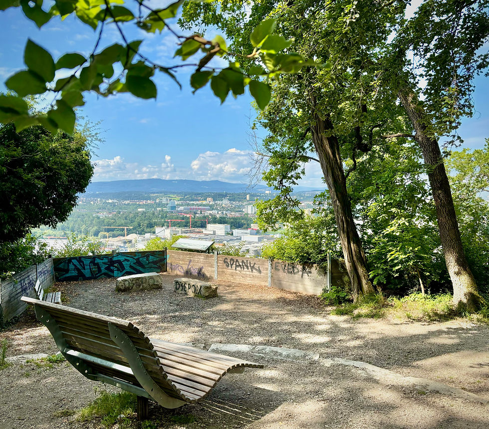 Chillen mit Aussicht auf Basel.