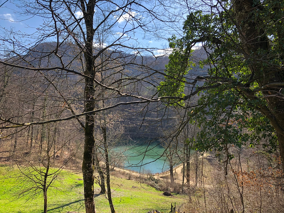 Sicht auf den mittleren Weiher beim Abstieg von der Burg Birseck.