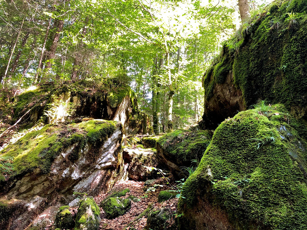 Von bemoosten Felsen...