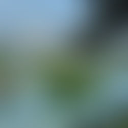 Meine persönliche Erstbesteigung auf den Grenzacher Hornfelsen