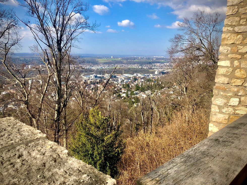 Ausblick auf Reinach und Basel.
