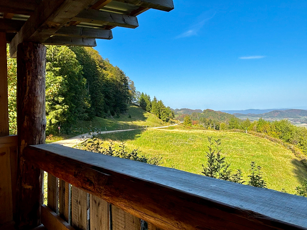 Ausblick vom Picknick-Platz Hintere Egg.