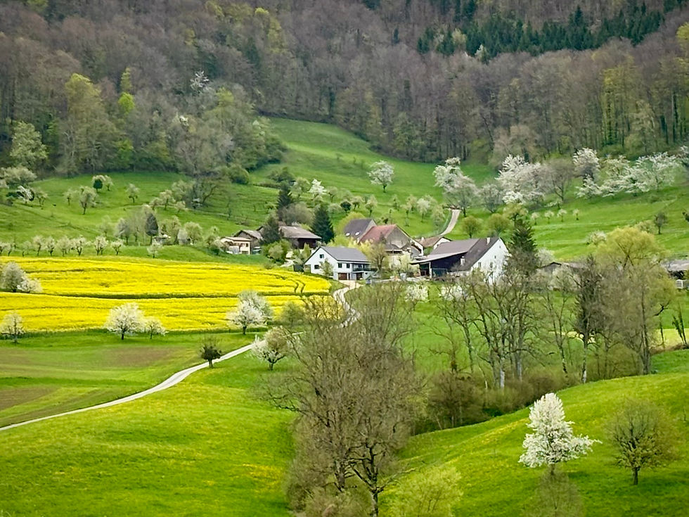 Weiter ging es via Rothenfluh...