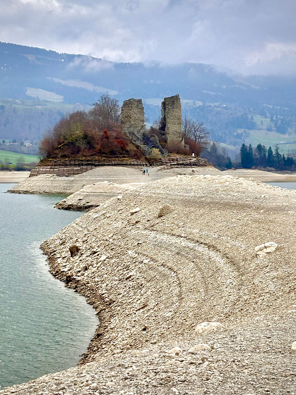 île d'Ogoz im Greyerzersee, welche nur kurze Zeit zu Fuss zu erreichen ist.