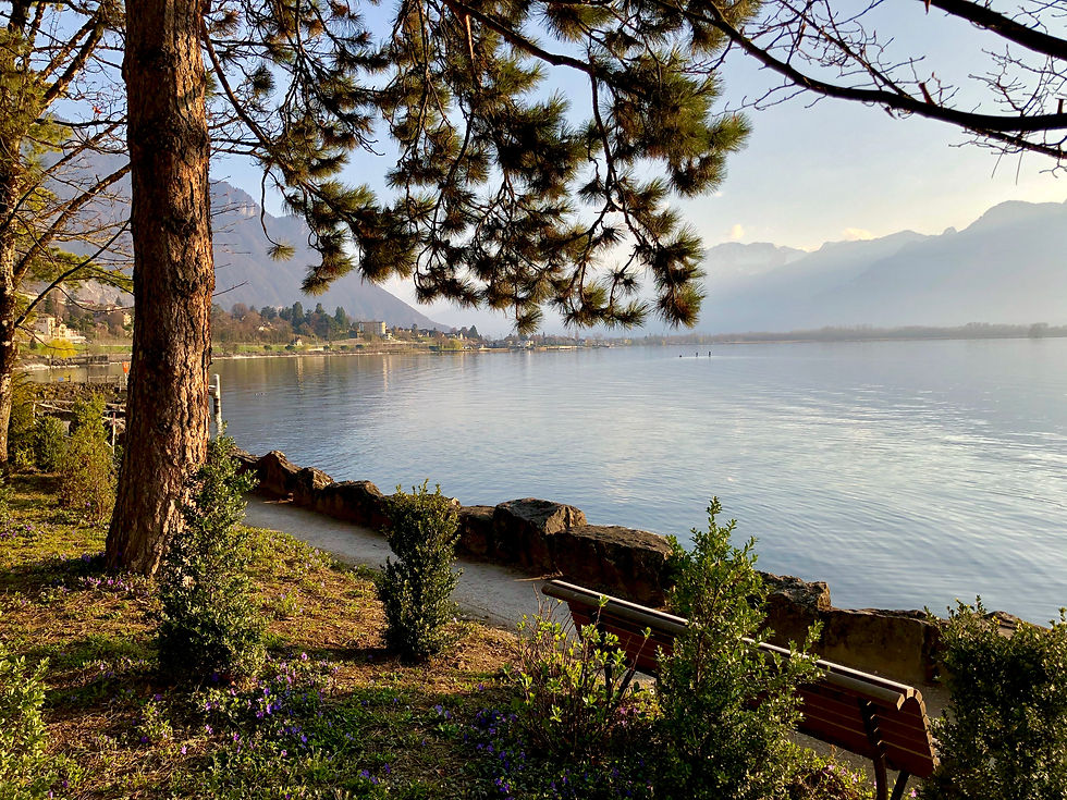 Uferpromenade entlang des Genfersees direkt neben dem Schloss.