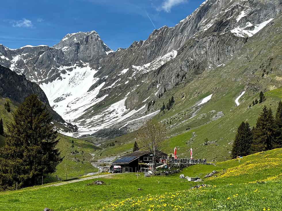 ... bevor ich zum Bächibeizli hochkam.