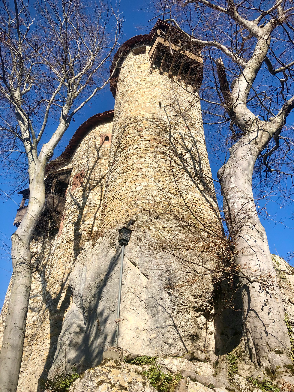 Die Burg Reichenstein.