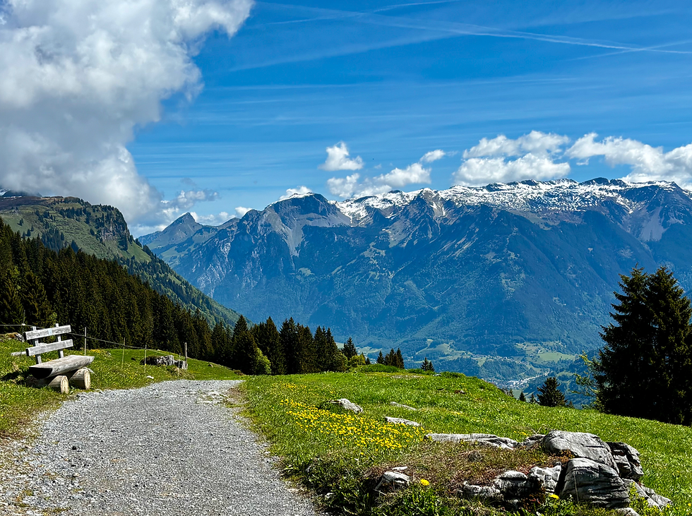Weiter führte der Weg zum Oberblegisee entlang der Alpweiden, die Glarner Alpen und das Linthal immer im Blick.