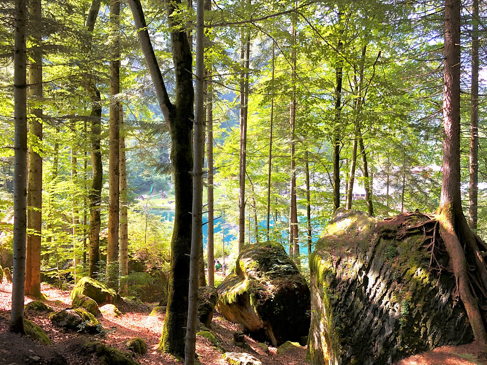 ...immer wieder schönen Ausblicken auf den See...