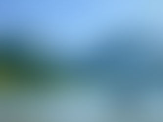 Walflosse im Schwarzsee vor den Freiburger Alpen und Breccaschlund.