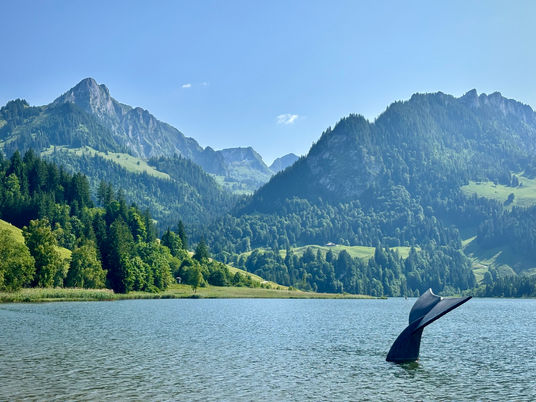Walflosse im Schwarzsee vor den Freiburger Alpen und Breccaschlund.