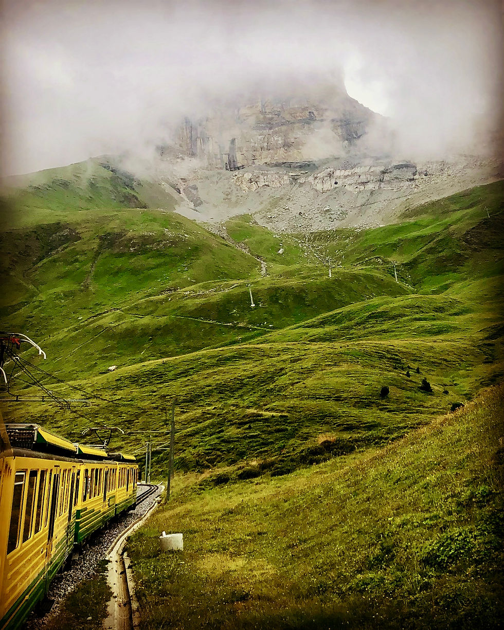 Erst bei der Rückfahrt nach Grindelwald liess er sich kurz blicken.