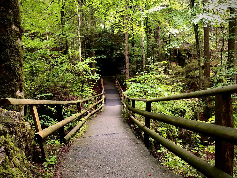 ...immer weiter gehts im Wald zur nächsten Entdeckung.