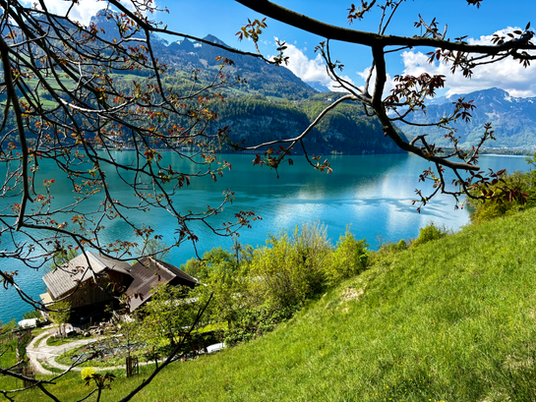Wanderung Weesen–Quinten am Walensee: Traumroute mit überraschend anspruchsvollem Abstieg