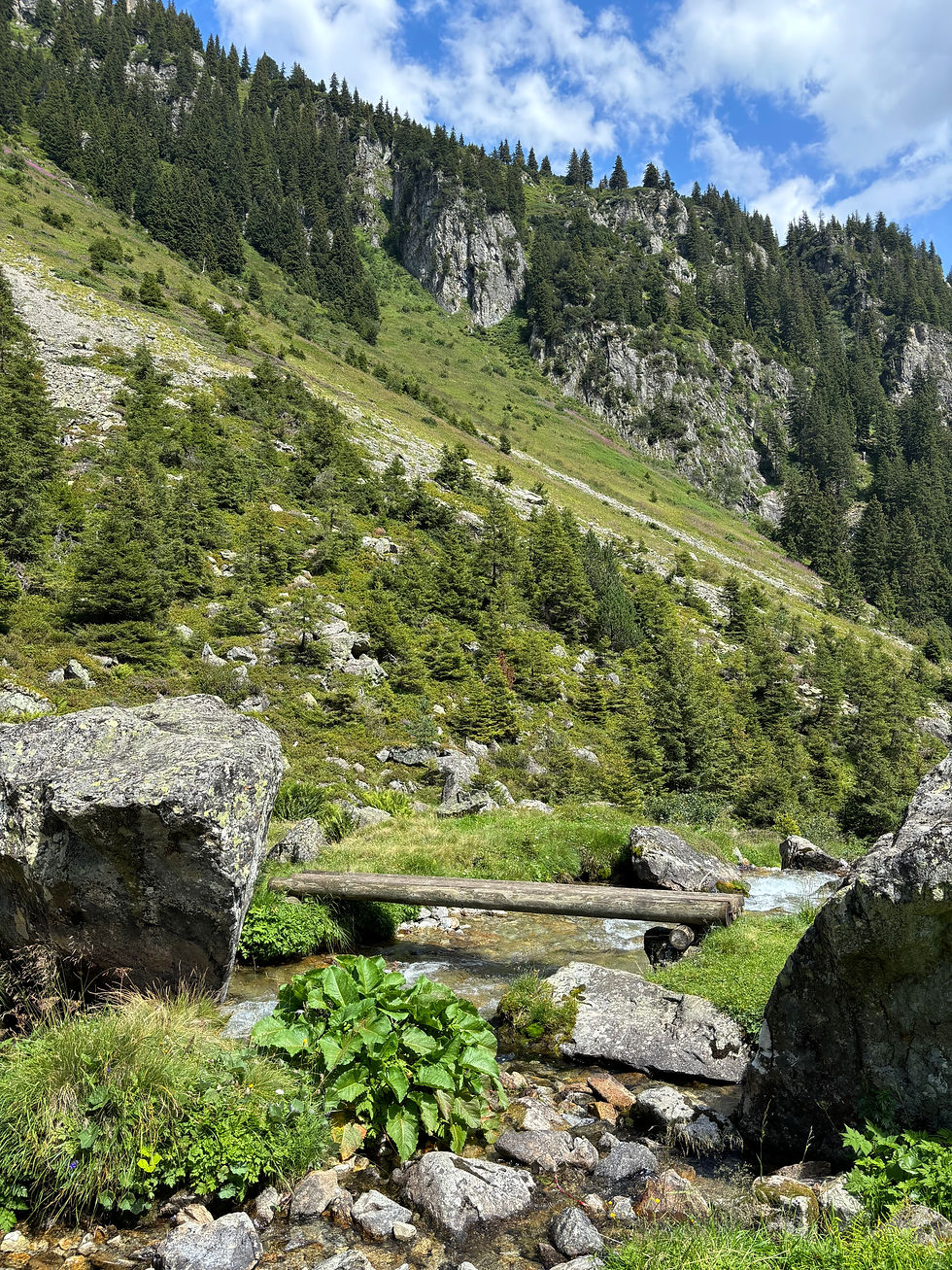 Rund um Uri's Mittelpunkt.