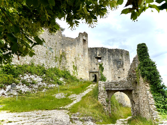 Basel...und die Ruine Dorneck in Dornach