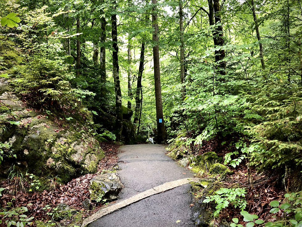 Im Naturpark gehts rauf und runter. Zu entdecken gibt es viel.