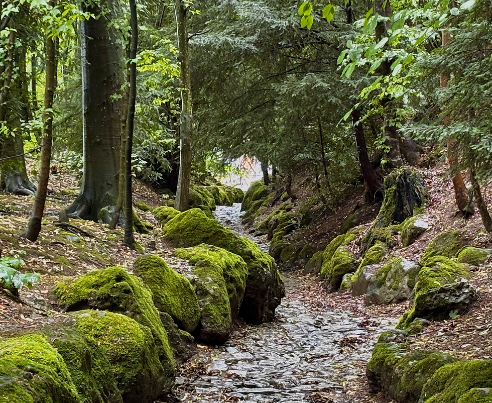 Die Hohle Gasse bei Küssnacht.