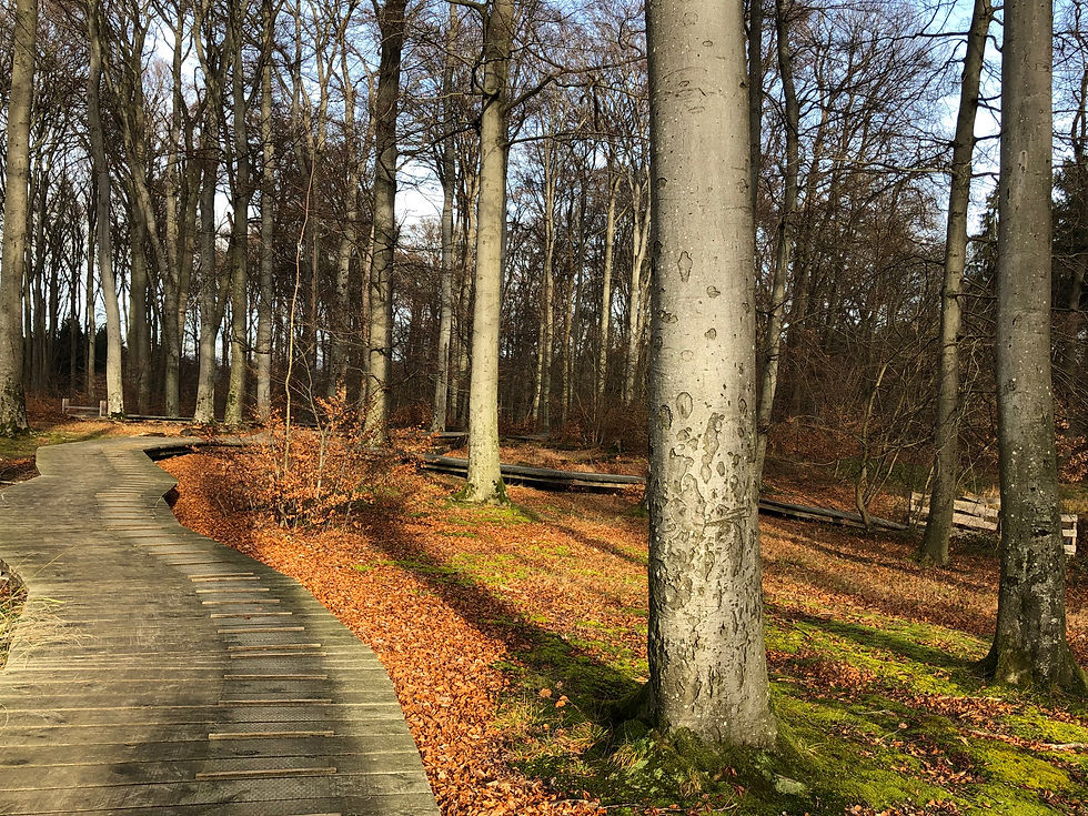 Auf dem Weg zum Weiher.