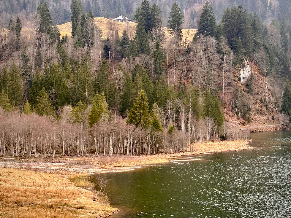 So zumindest stelle ich mir die Tundra vor.