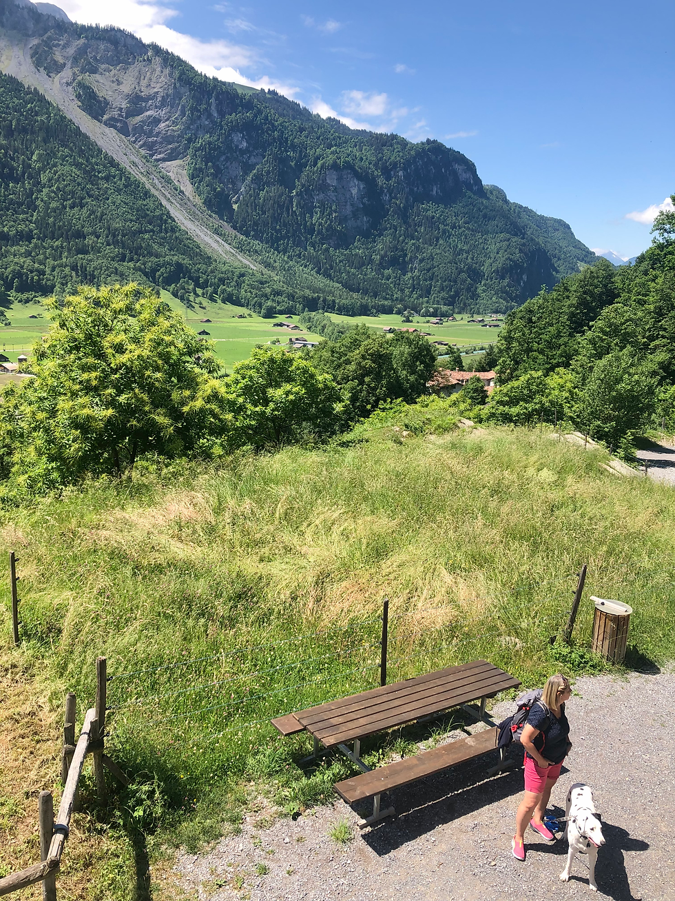 Aussicht aus dem Tessiner Schlafzimmer ins Berner Oberland. Und Freundin und Hund warten geduldig.