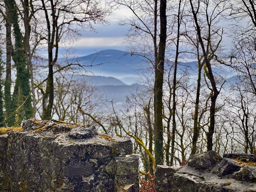 Aussicht in Richtung Ergolztal.