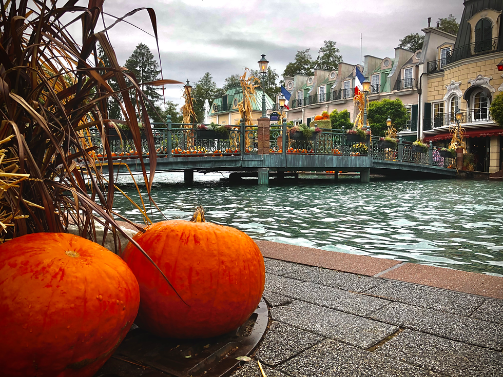 So ein leuchtendes Orange macht doch gleich gute Laune.