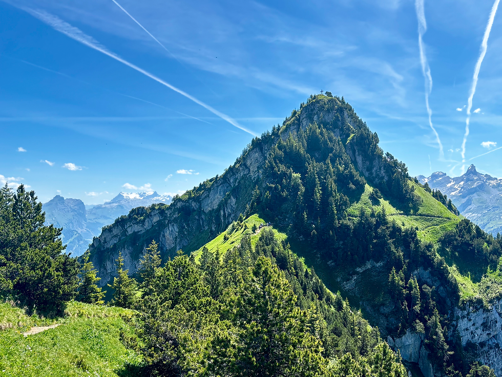 Blick zurück auf den Huser Stock, bevor es in der anderen Richtung weiterging zum Fronalpstock,. 
