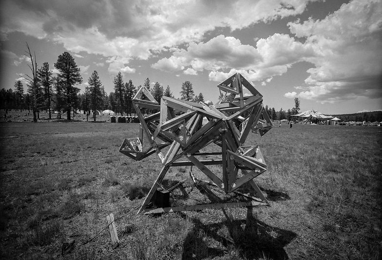 JungleHedron06_26_2015FireflyGathering.j