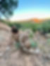 IMG_8798.jpeg