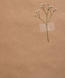 flat-lay-minimal-flowers.jpg