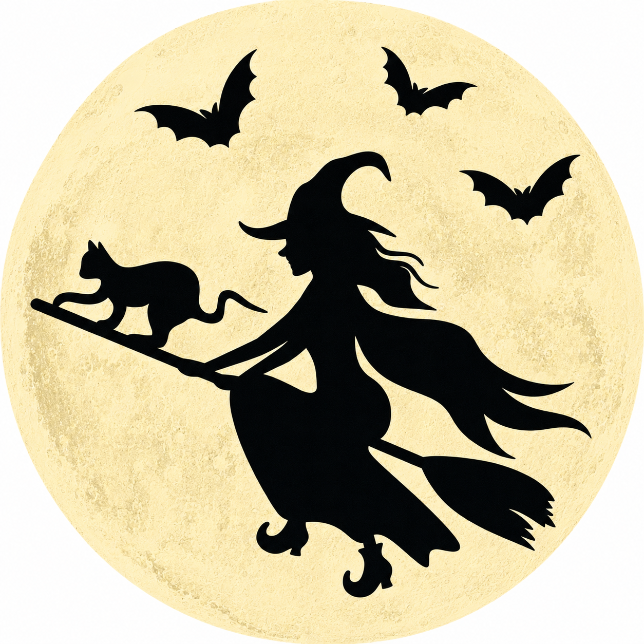 Witch And Her Black Cat On Broom