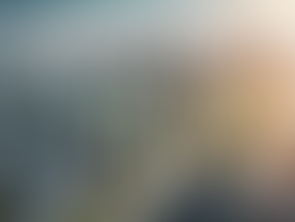 Unlocking Climate Opportunities: Consulting and Investment Services