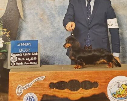 CH Sweetnlow's Janie