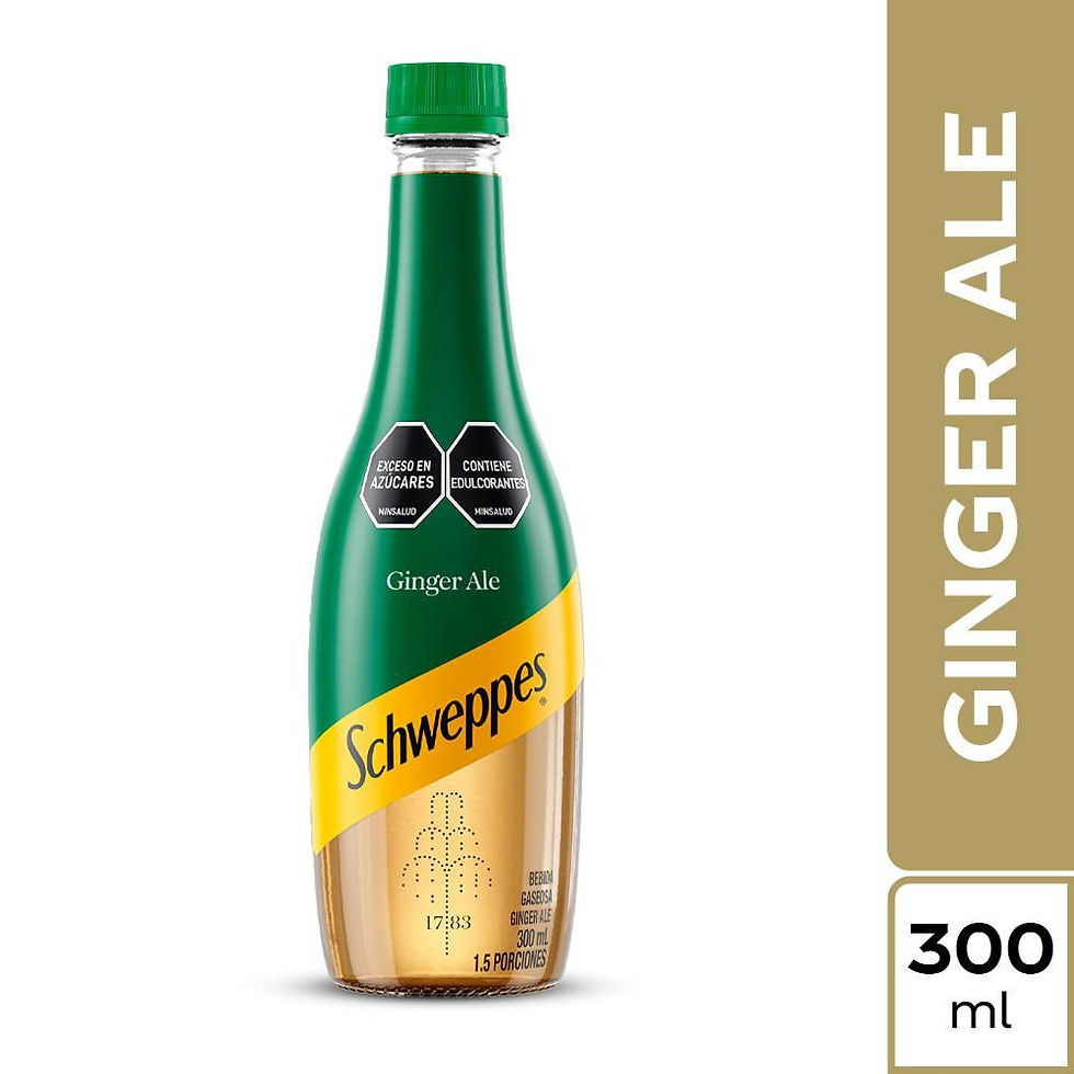 Gaseosa Schweppes Ginger Ale (300 Ml)