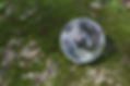 earth1_s.jpg