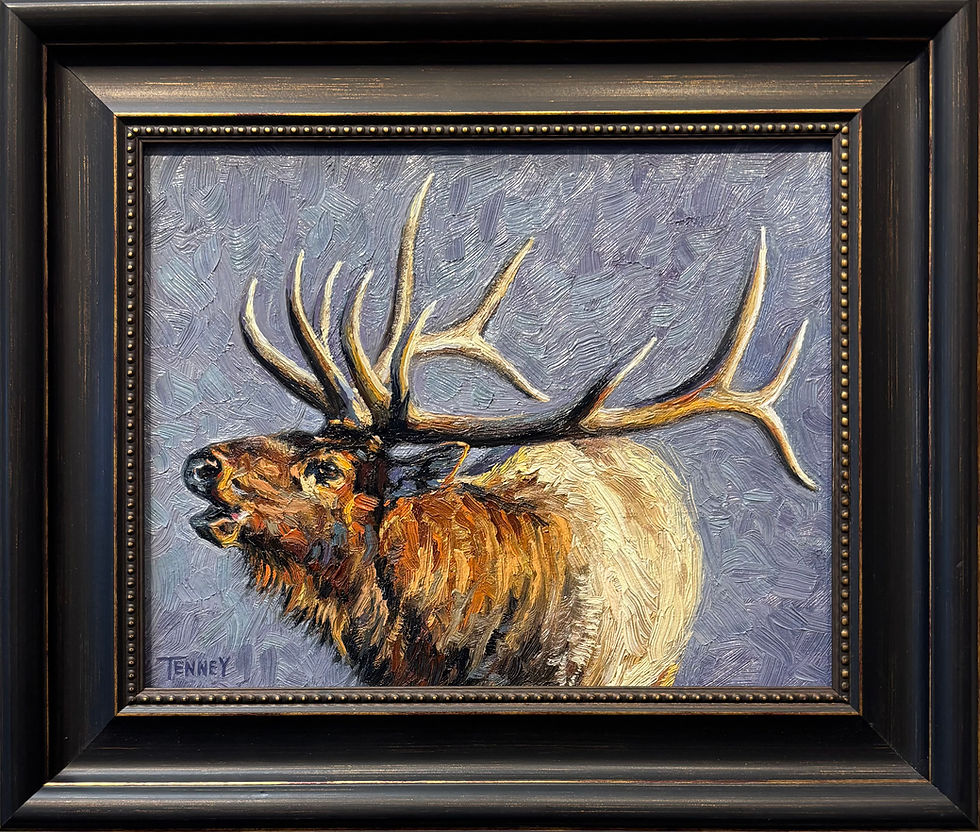 original wildlife painting of an elk by Ammon tenney