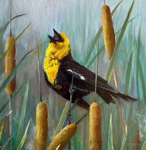 Kimberly beck yellow bird