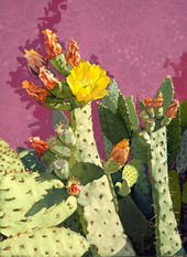 mixed media painting of a blooming cactus by Jenna line weaver