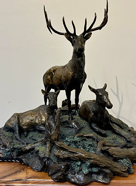 Bronze sculpture by Jeff Wolf of an elk with cows below him at Gold River Gallery