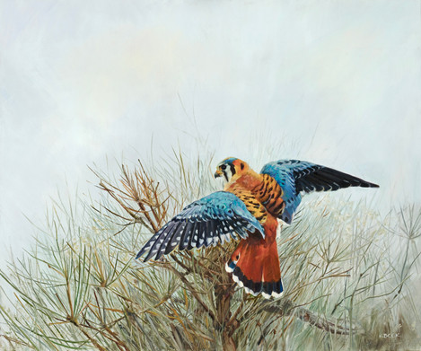 painting of a bird mantling its prey by Kimberly beck