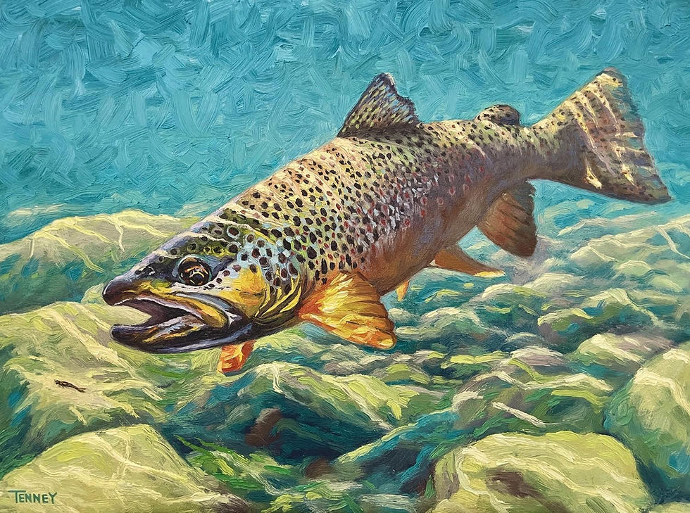trout painting by Ammon tenney