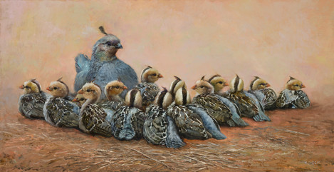 Kimberly beck quails