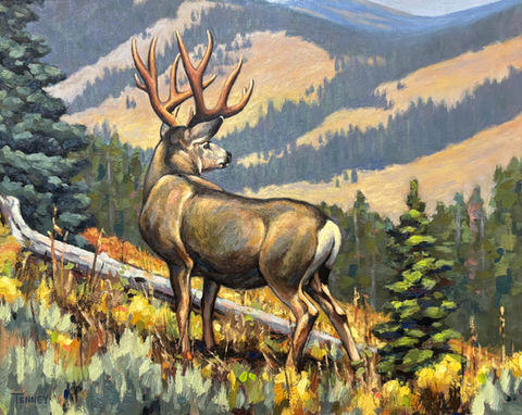 oil painting of a mule deer by Ammon tenney