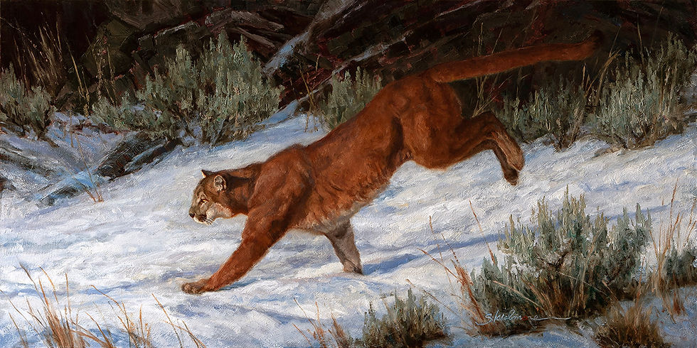 wildlife painting of a cougar by Ryan Skidmore