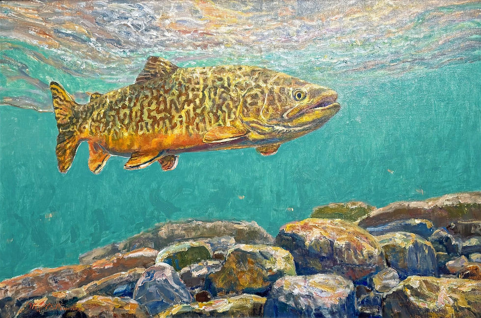 Painting by mike Stidham of a trout swimming above mossy rocks, with a colorful reflection of the water above